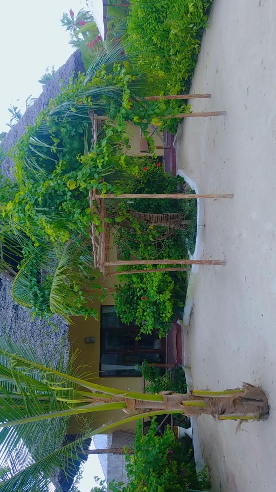Amber Lodge พองเว ภายนอก รูปภาพ